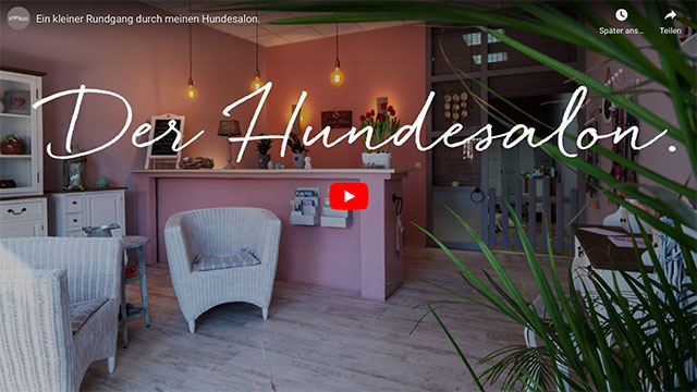 imagevideo - hundesalon pfiffikuss